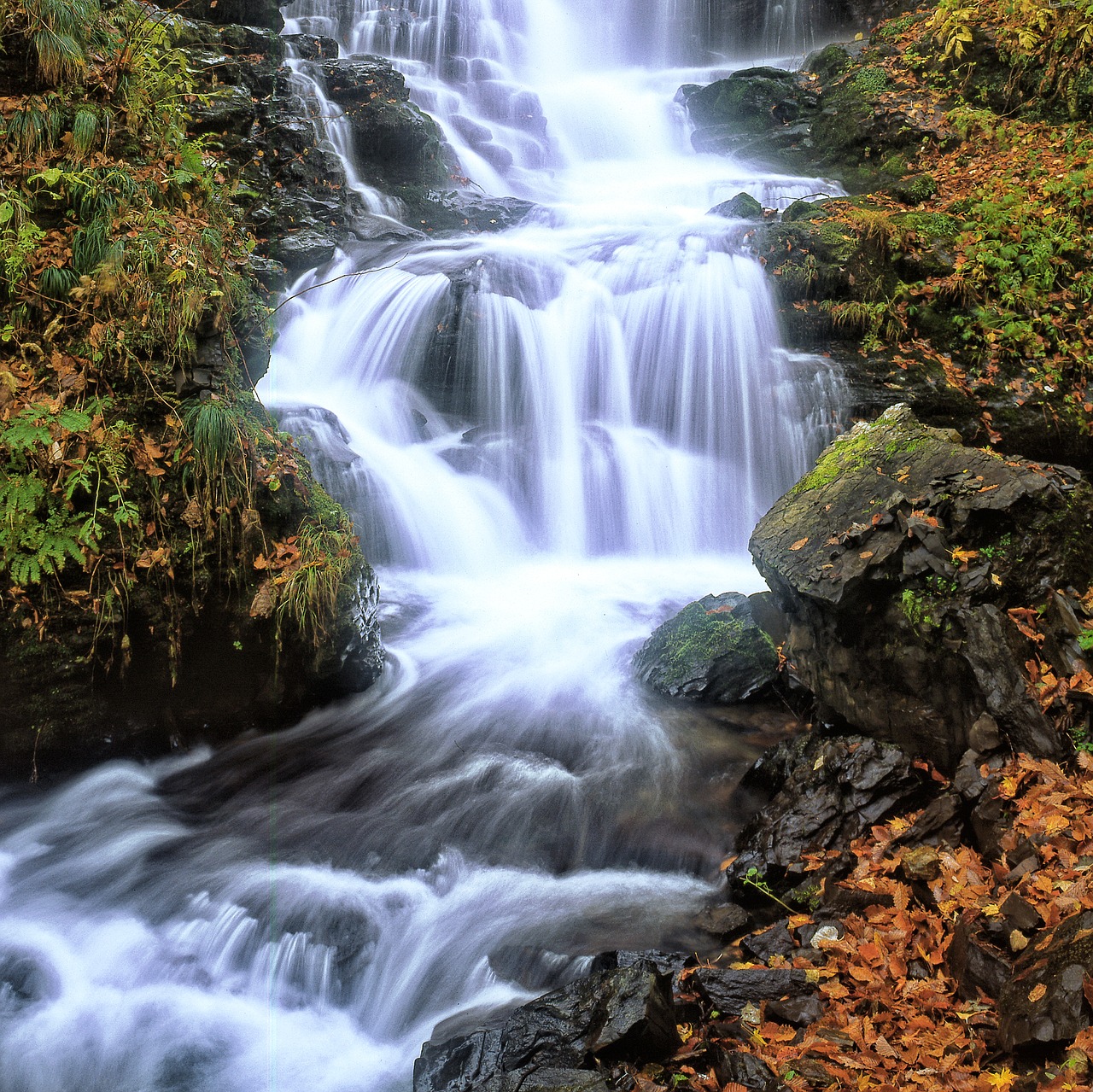 a small waterfall fallen leaves late autumn free photo