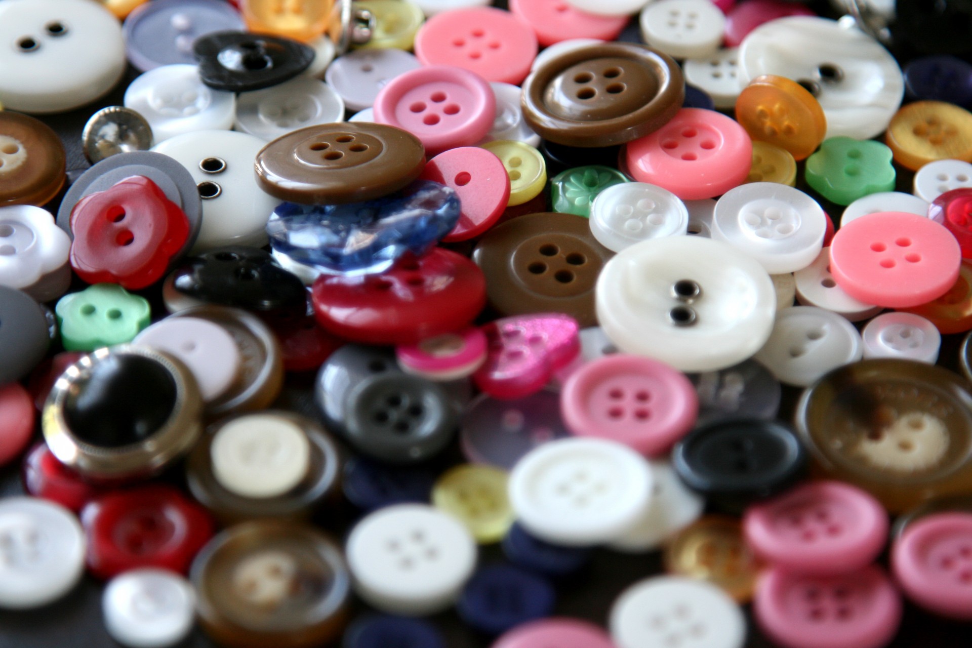 buttons color colorful free photo