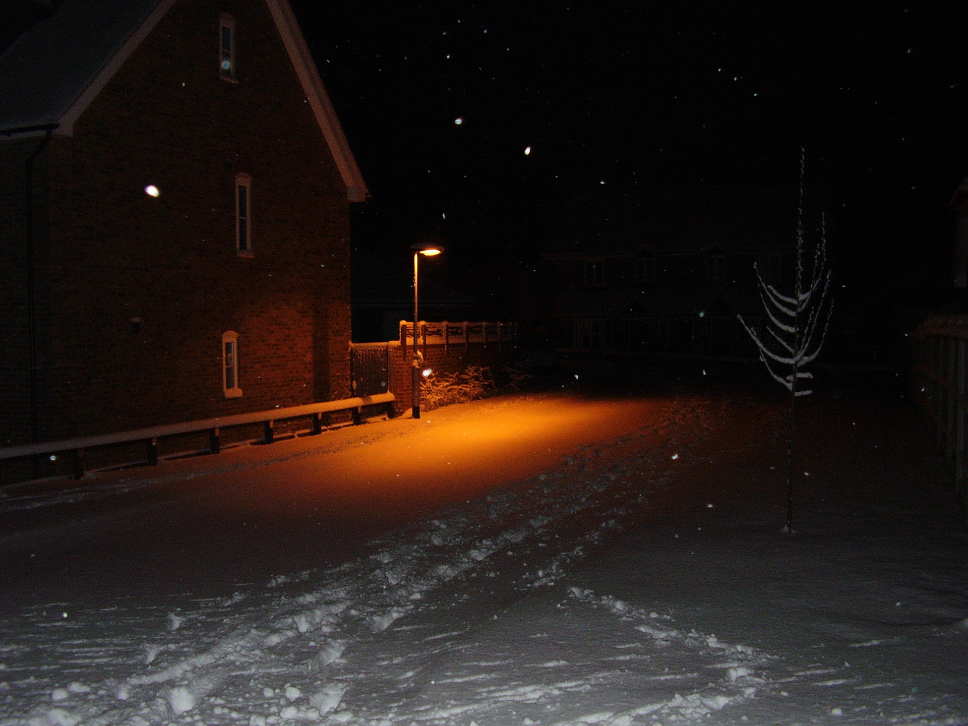 snow streetlight snowflakes free photo