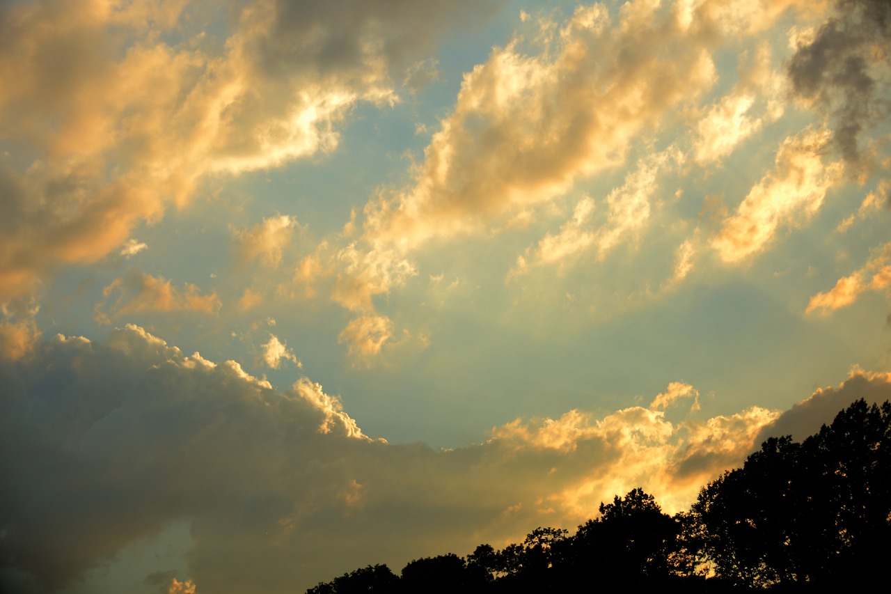 a surname choi sky shadows free photo