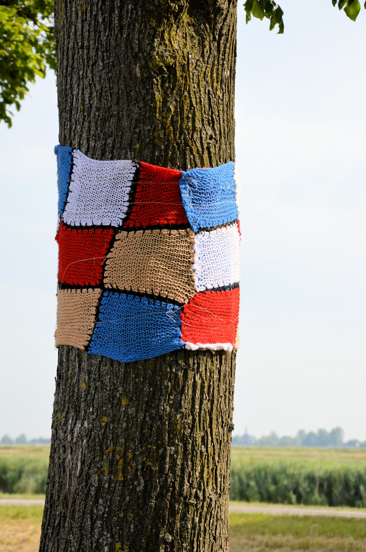 tree dressed up sweater free photo