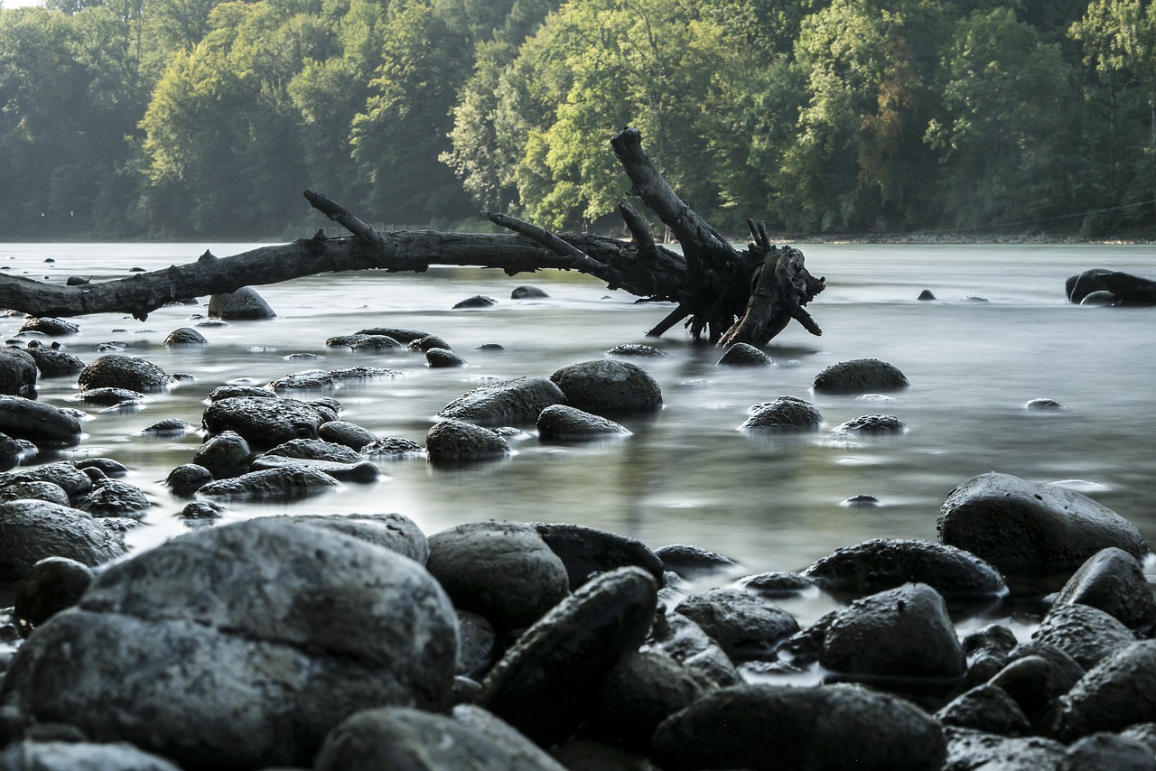 aare  nierdrig water  switzerland free photo