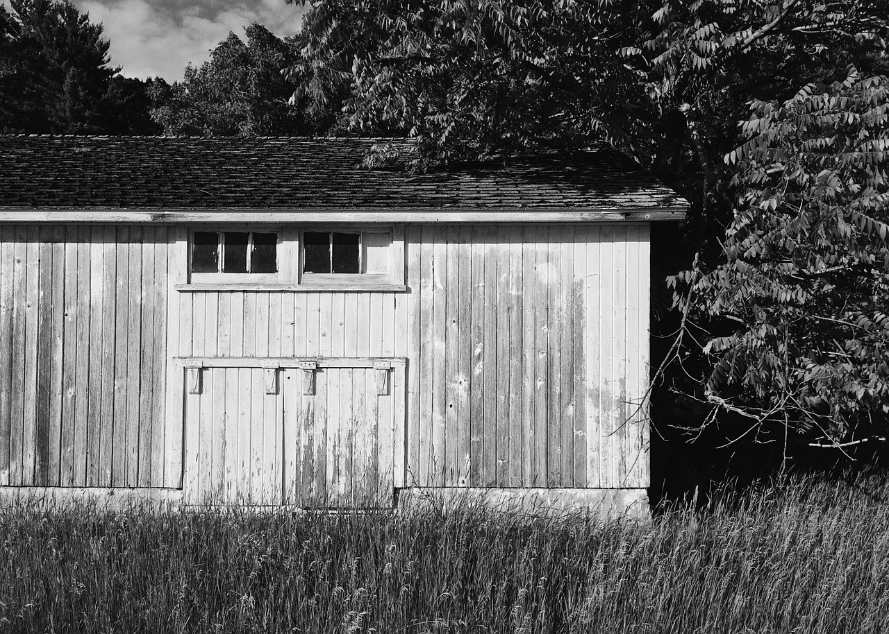 abandoned building structure free photo