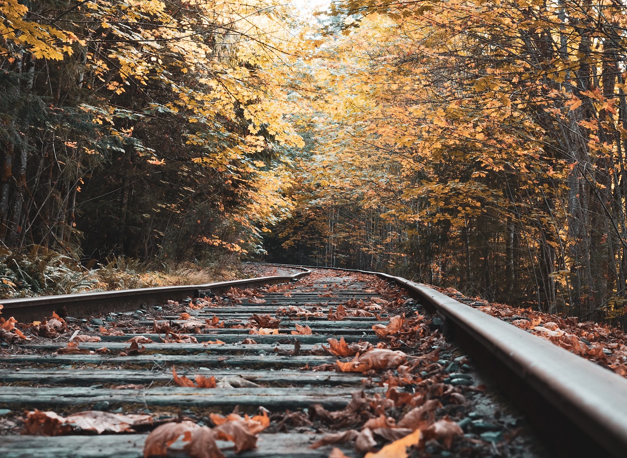 abandoned  railway  fall free photo