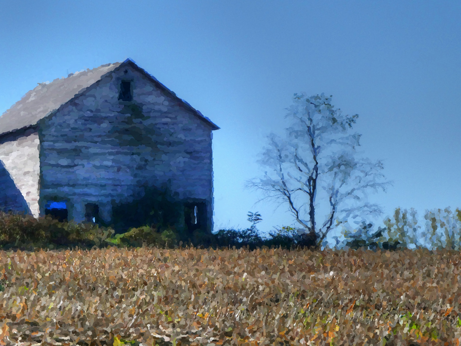 barn barns abandoned free photo