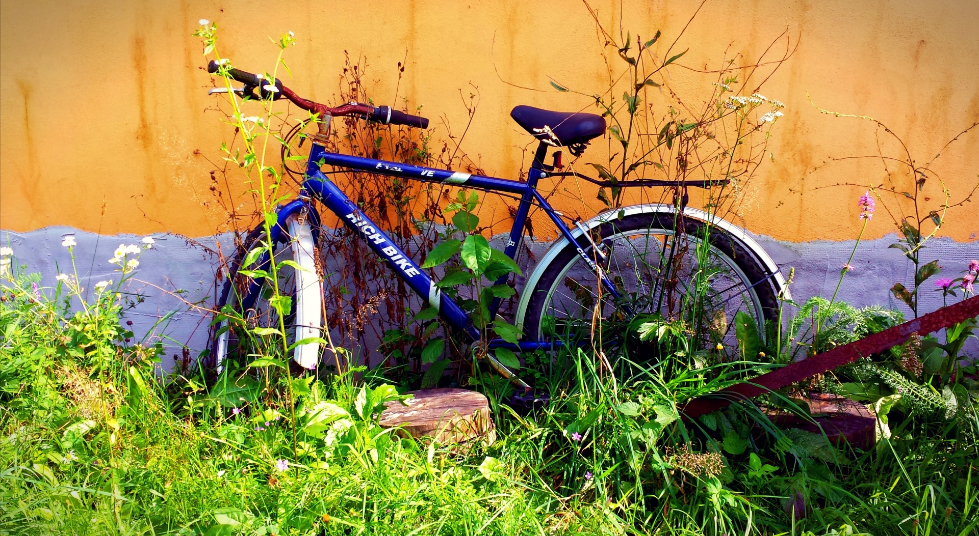 bike bicycle abandoned free photo