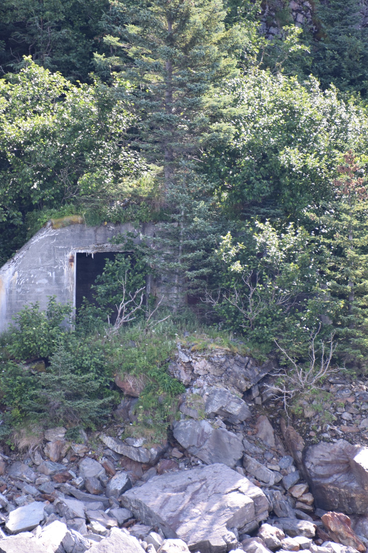 alaska bunker abandoned free photo