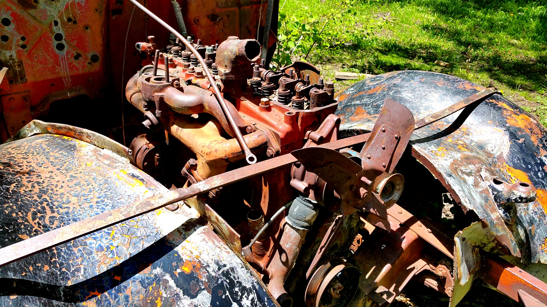 abandon bus southern utah brian head free photo