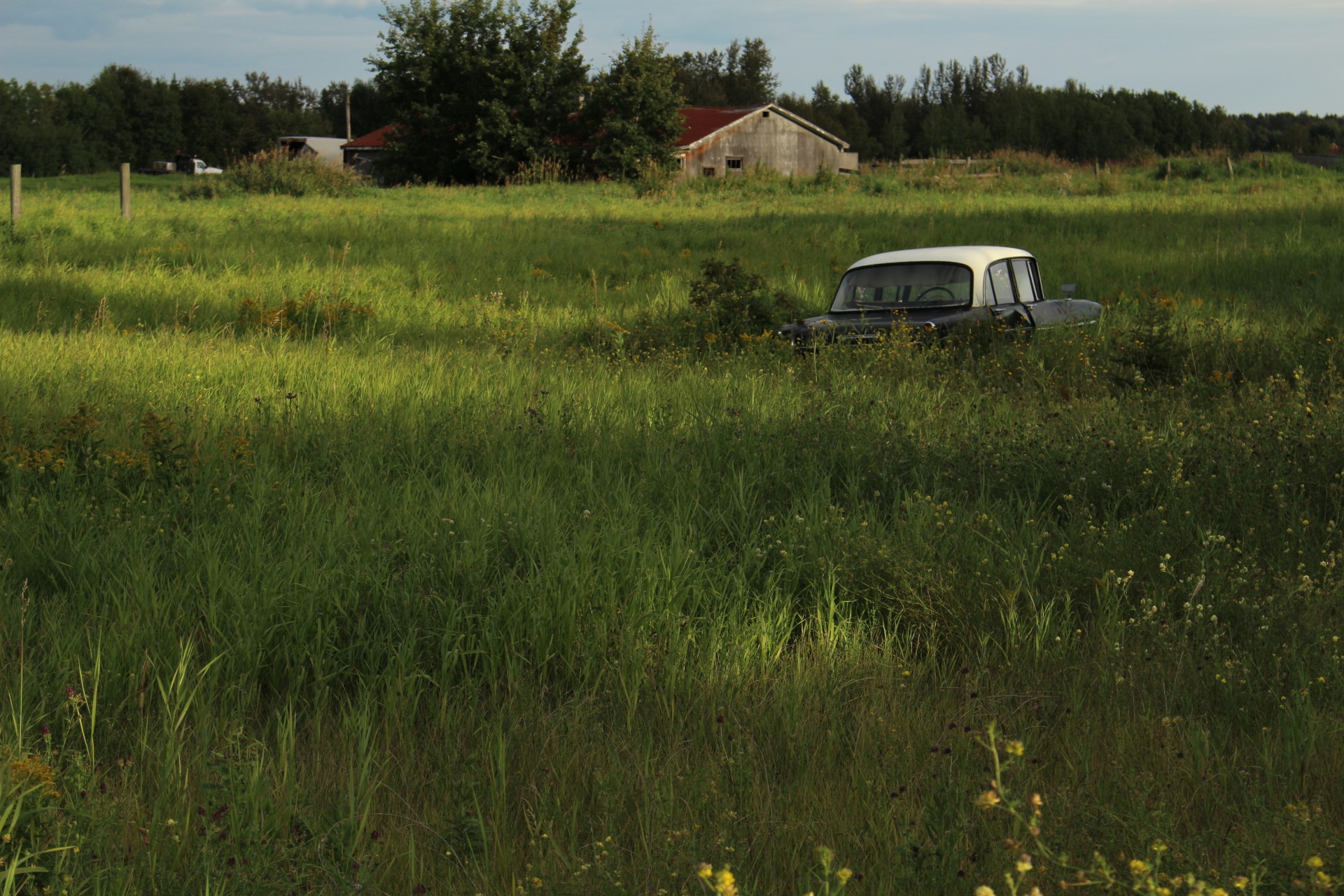 abandoned car farmers free photo