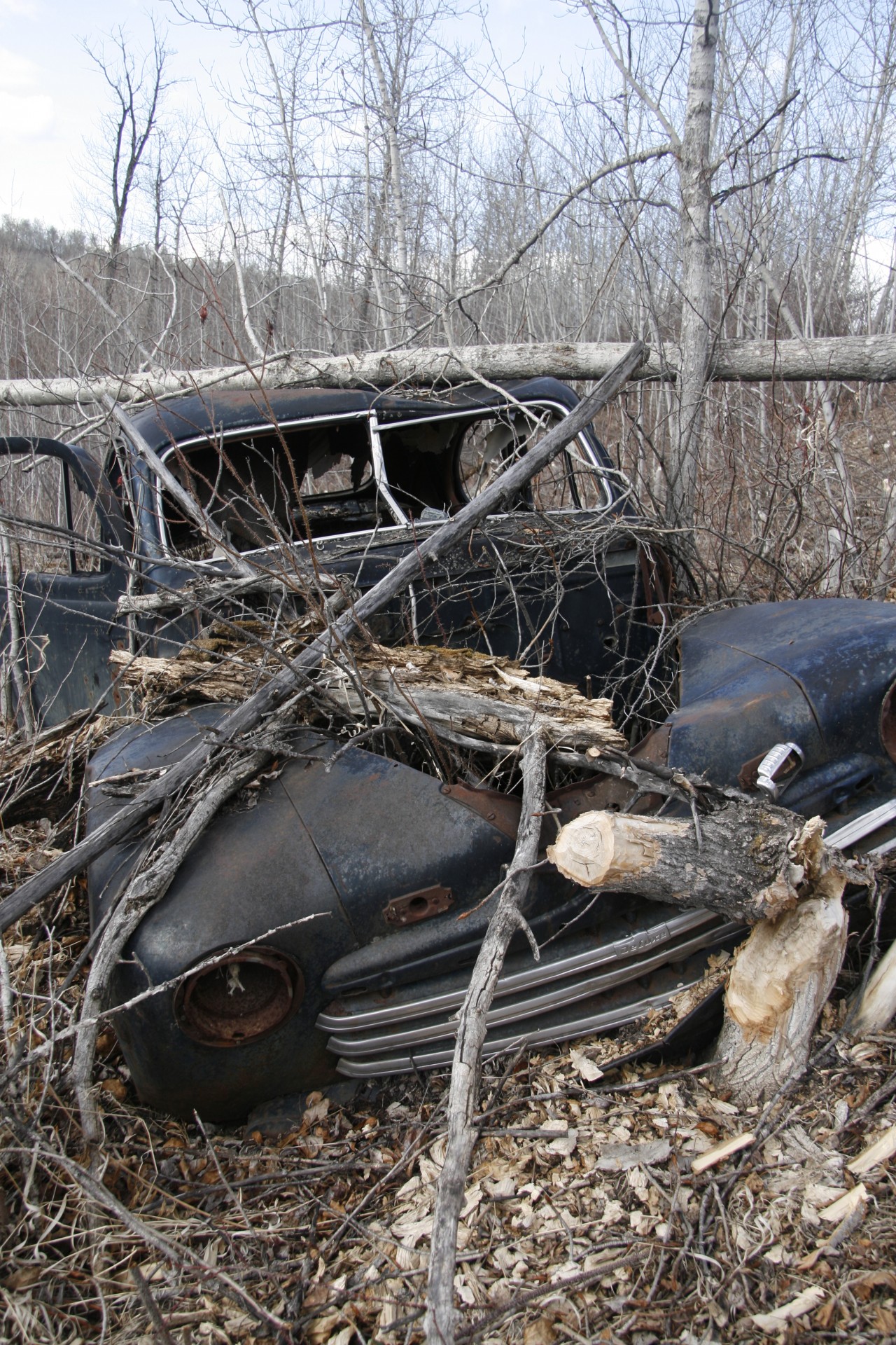 abandoned car wreck free photo