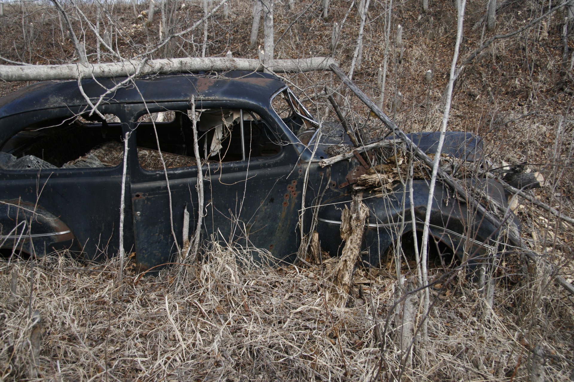 abandoned car wreck free photo