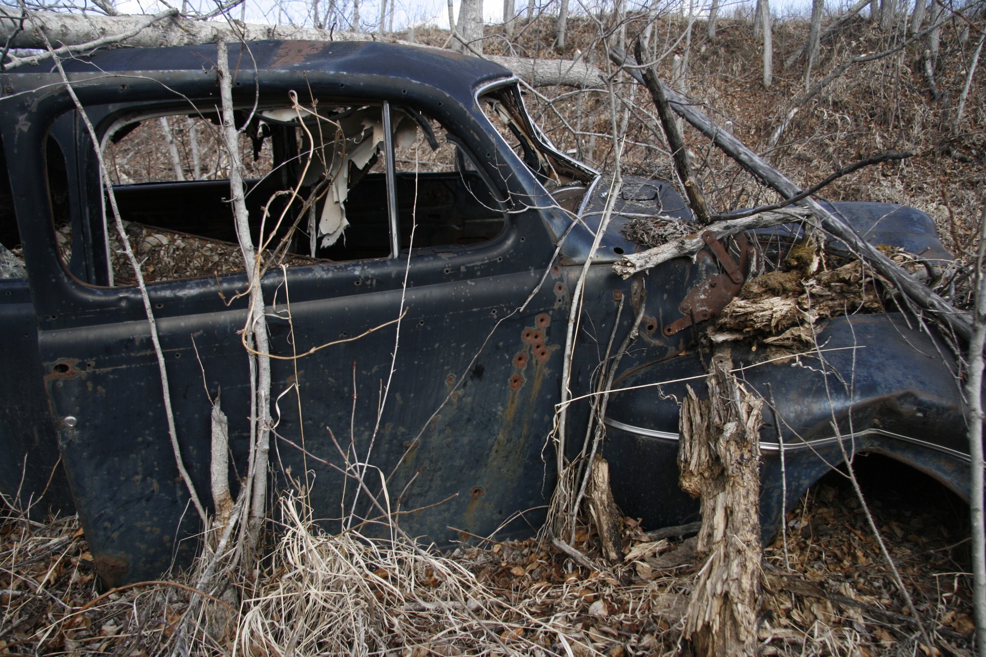 abandoned car wreck free photo