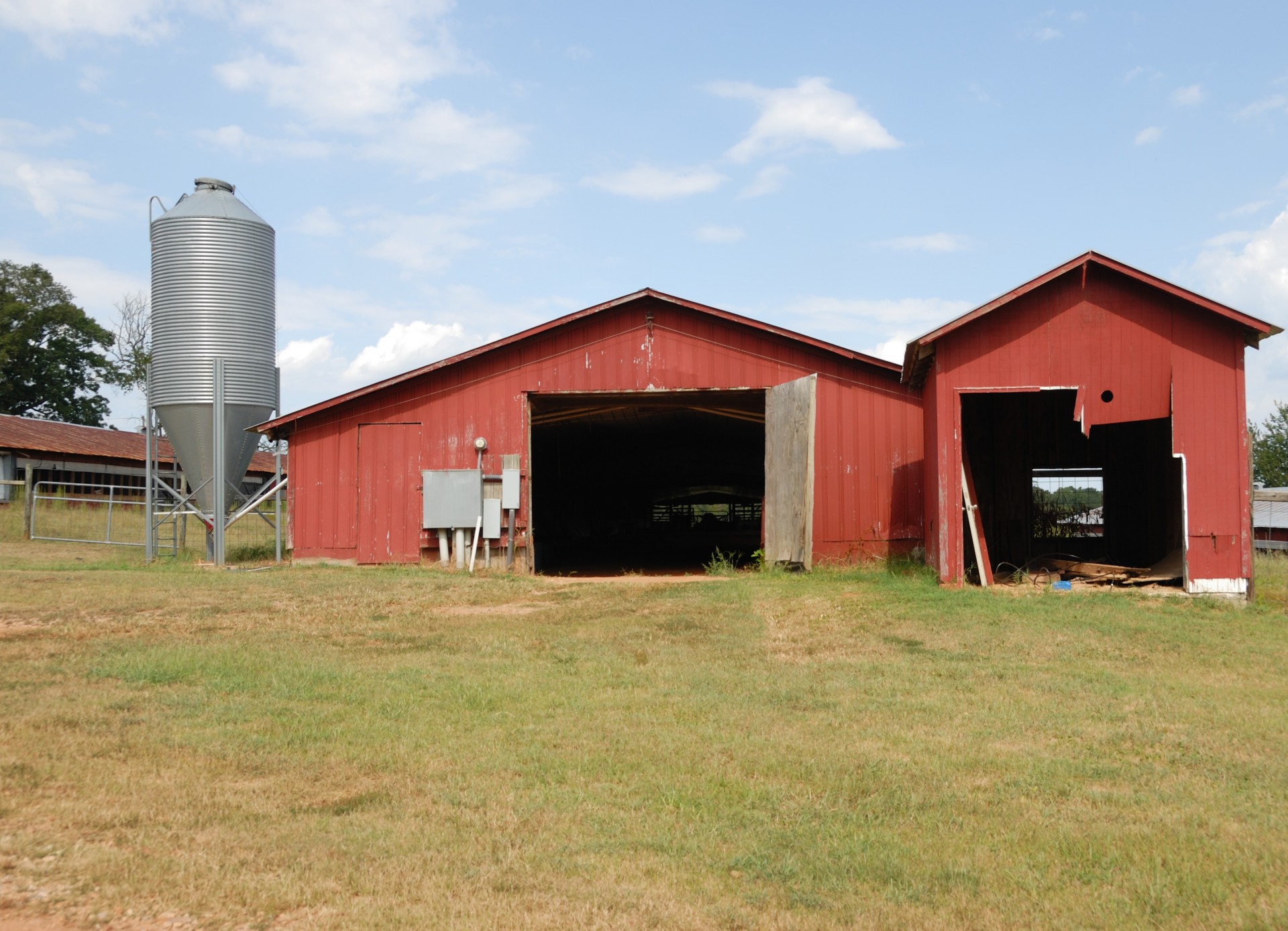 farm chicken old free photo