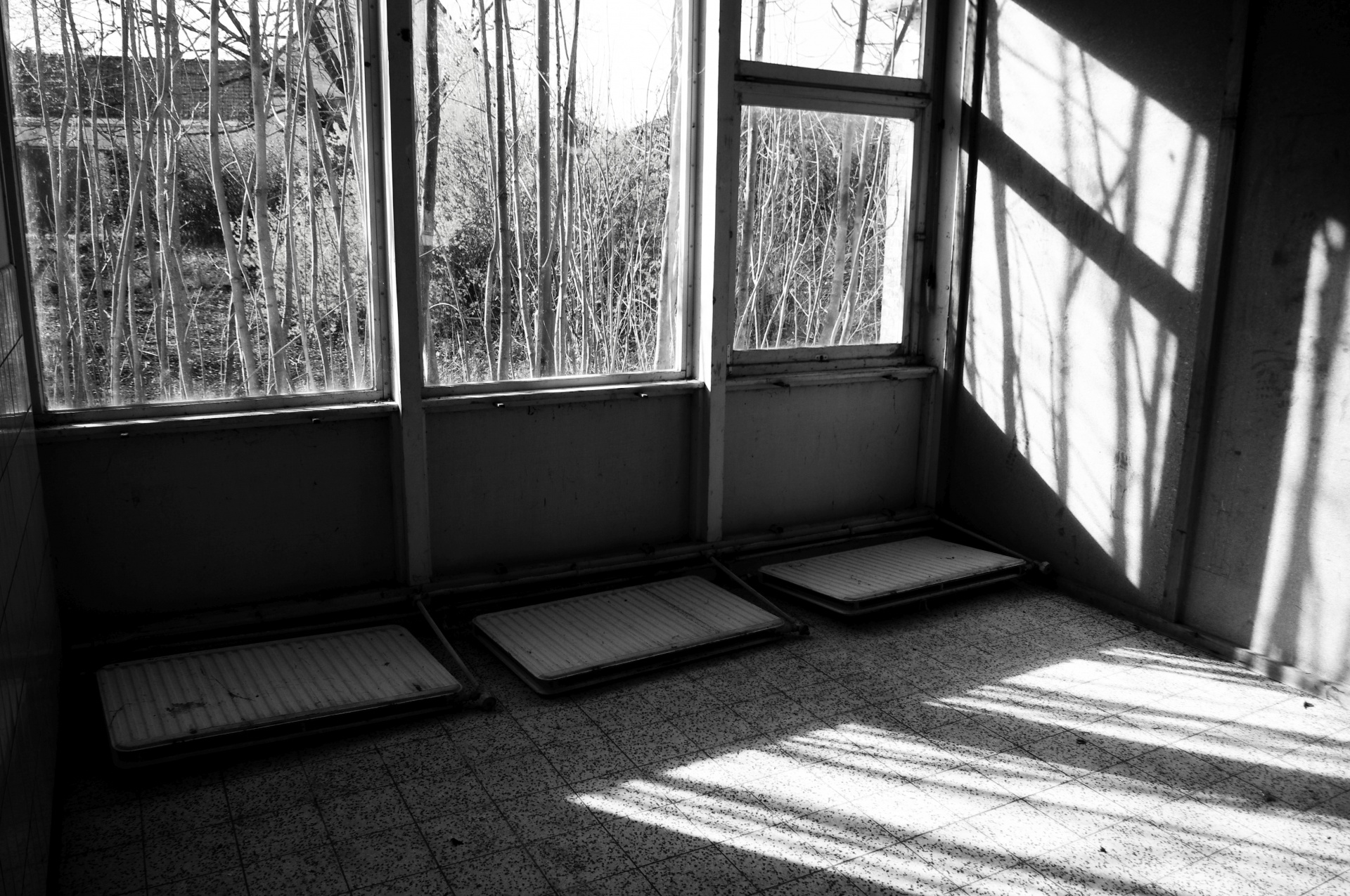 abandoned classroom windows free photo