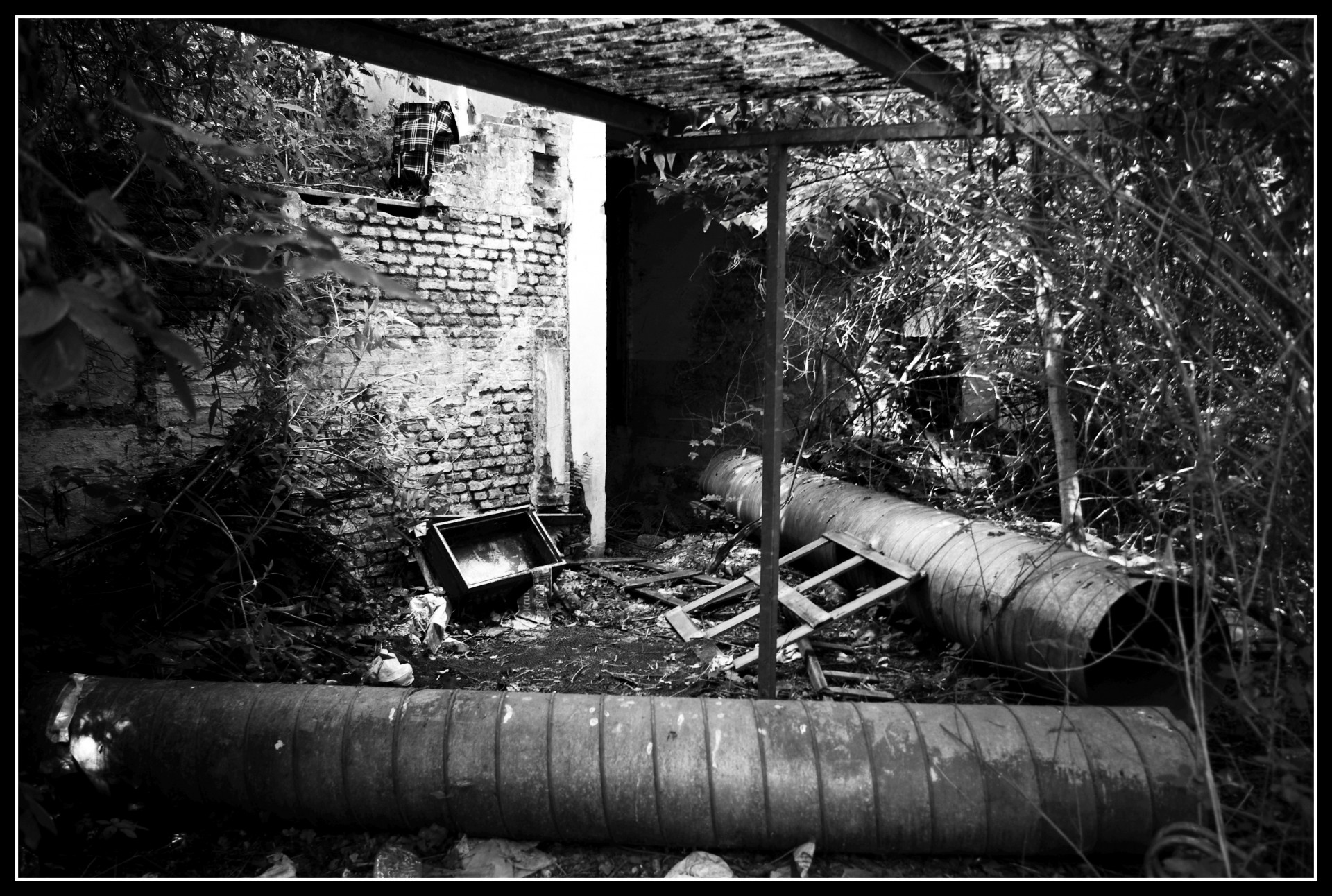 abandoned courtyard garden free photo