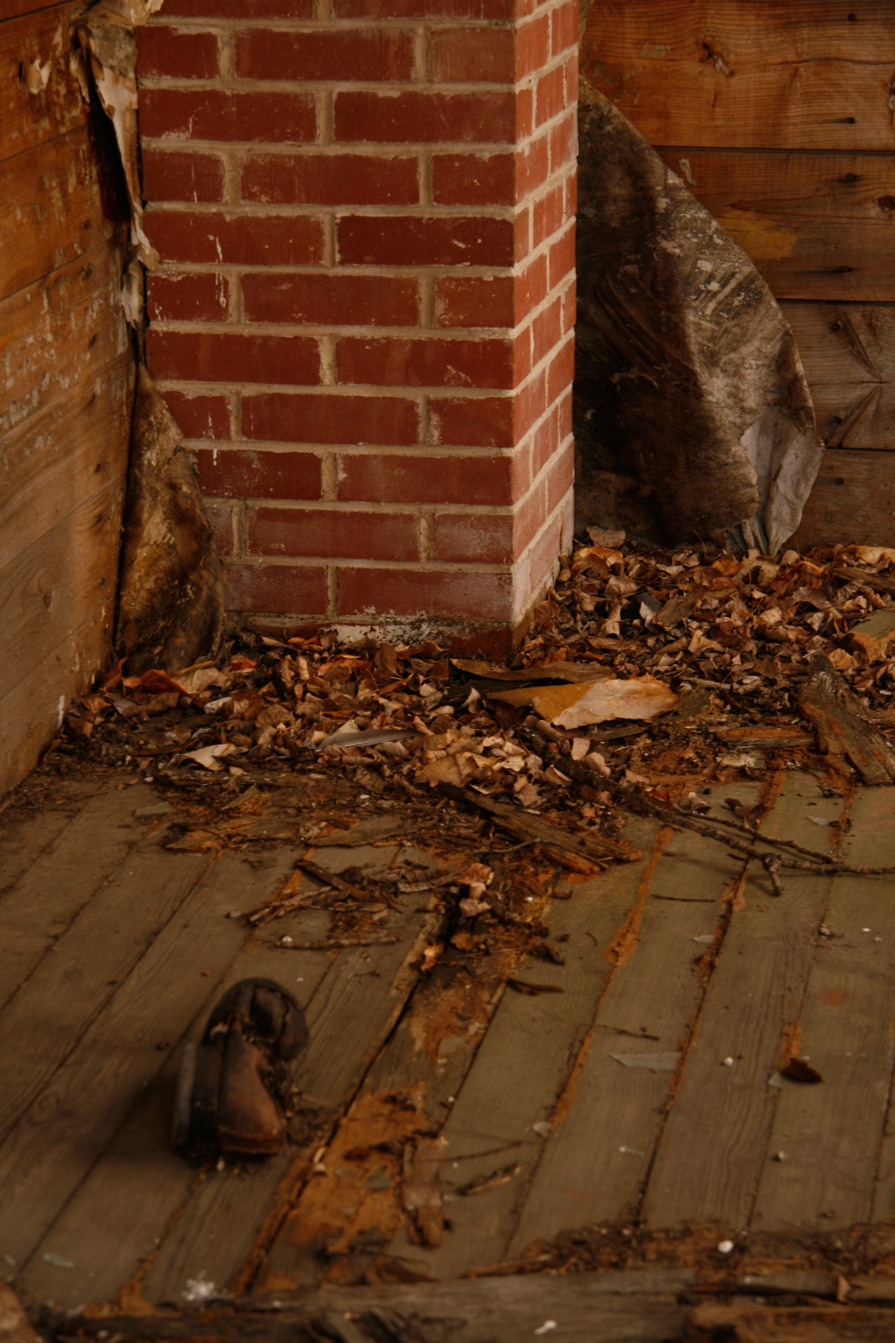 abandoned farm house free photo