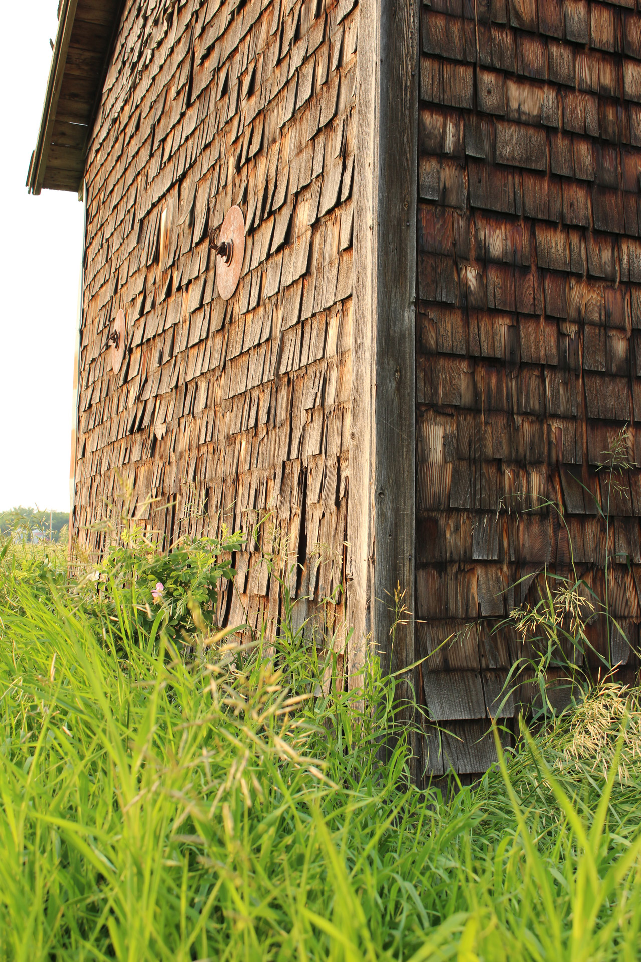 abandoned farm house free photo