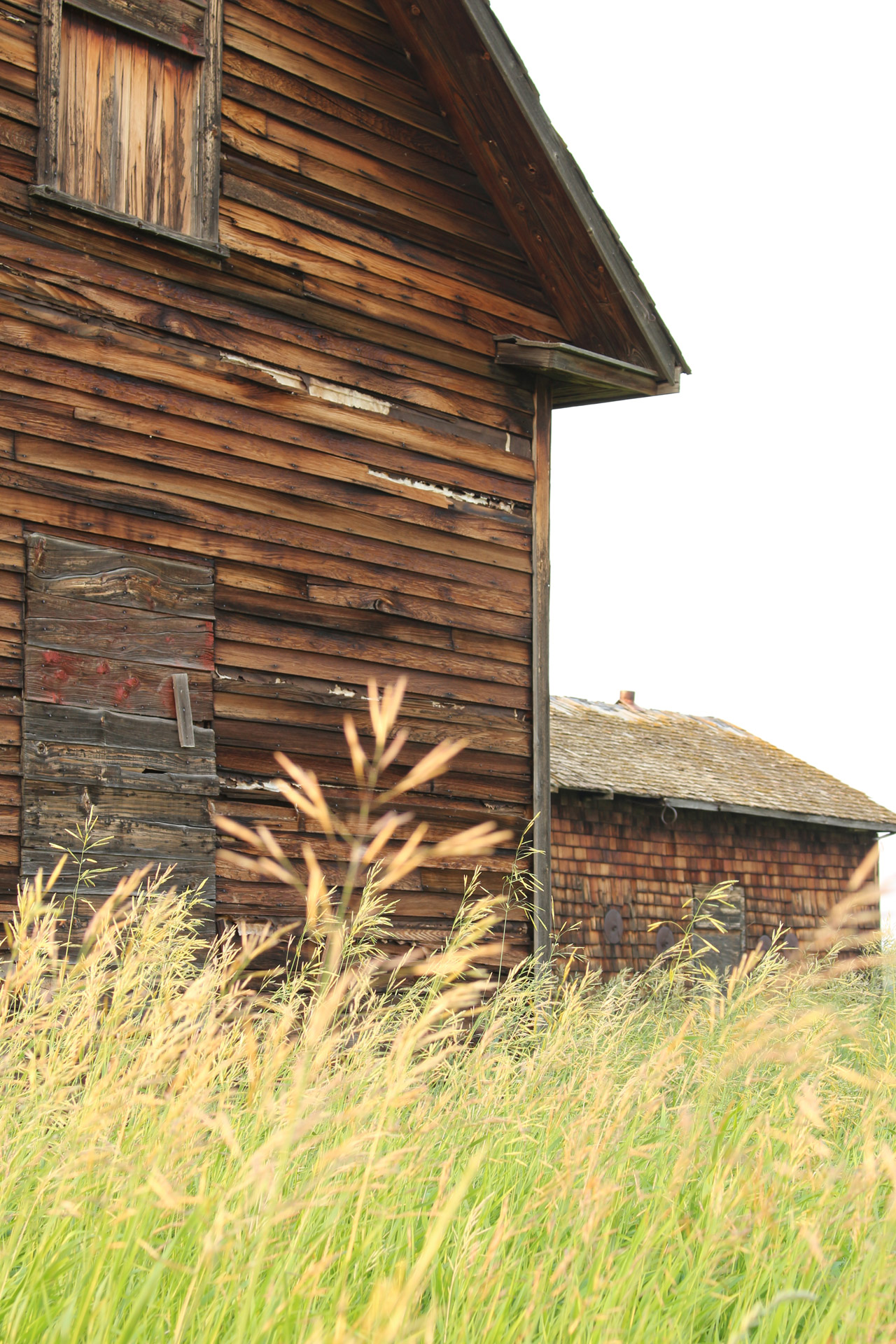 abandoned farm house free photo