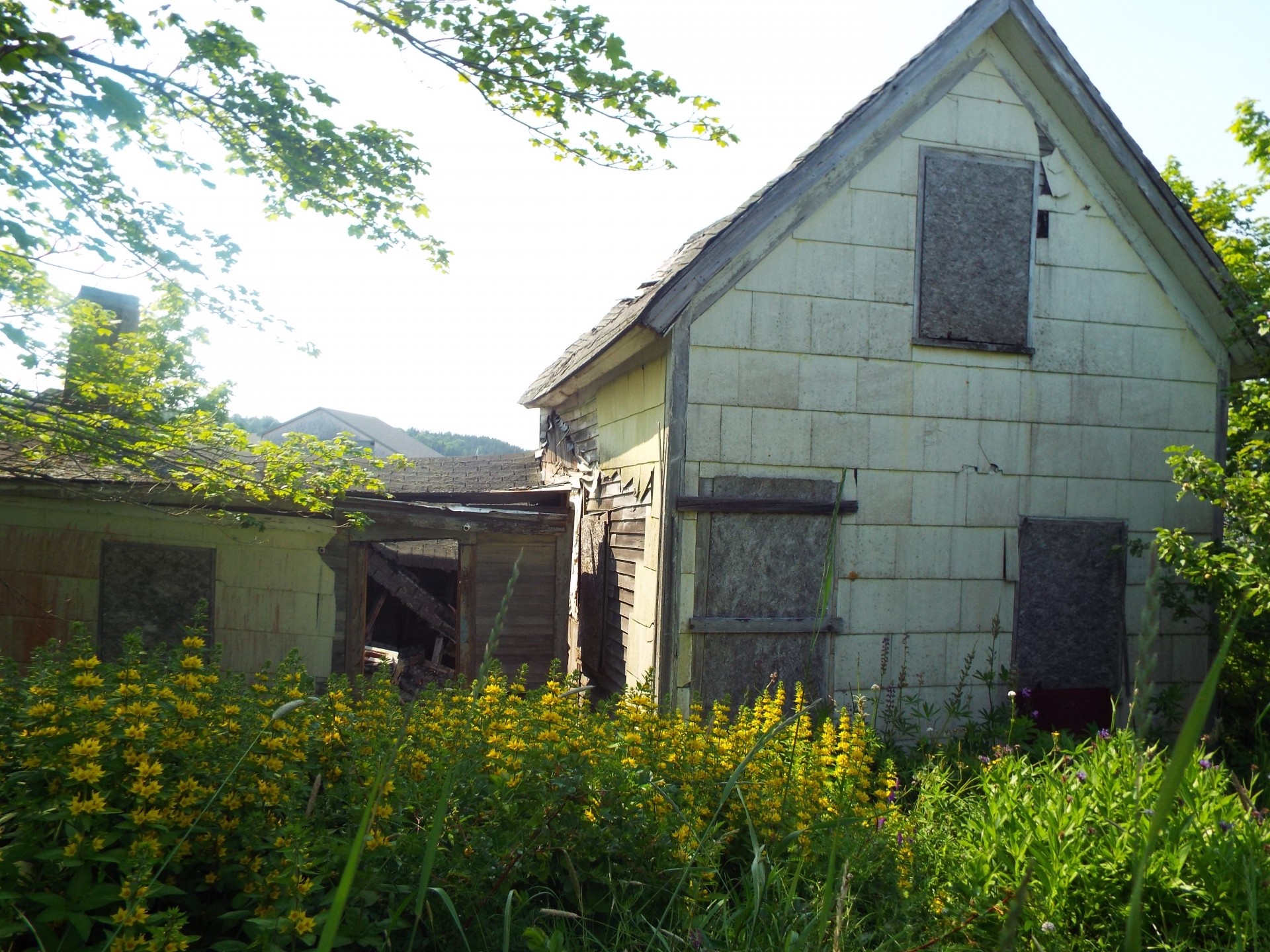 abandoned house ghost spooky free photo