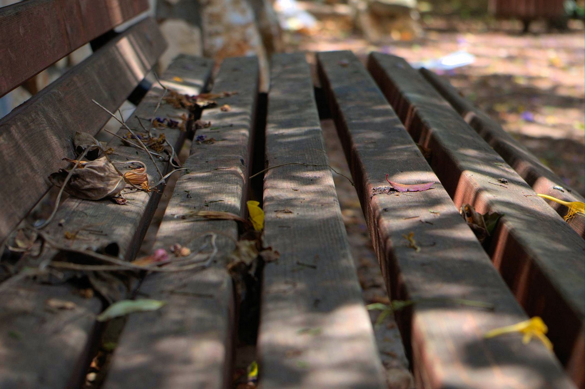abandoned park bench free photo