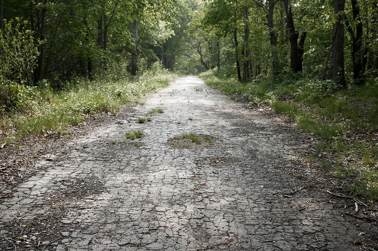 abandoned road  road  abandoned free photo