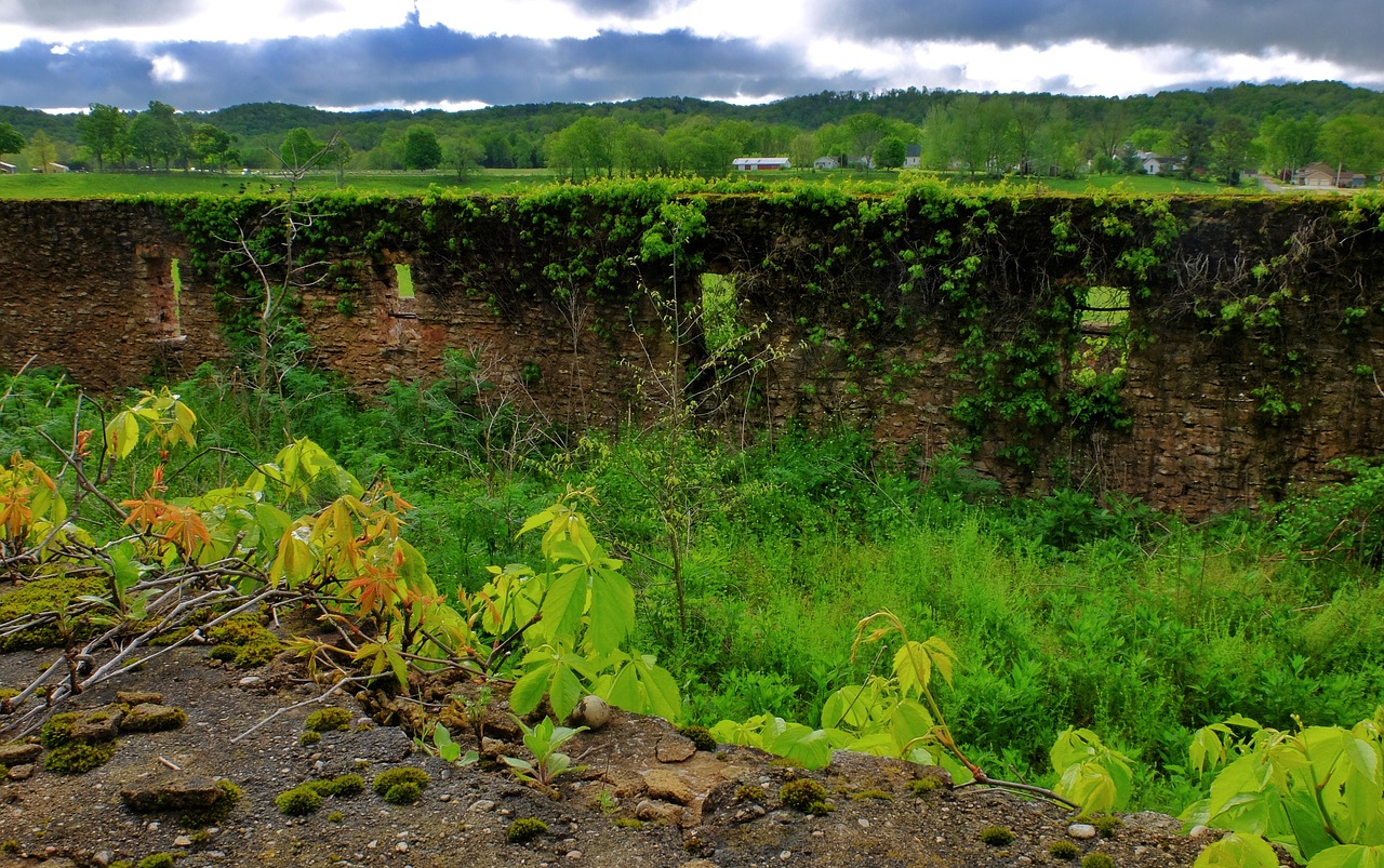 abandoned rock wall overgrown wall free photo