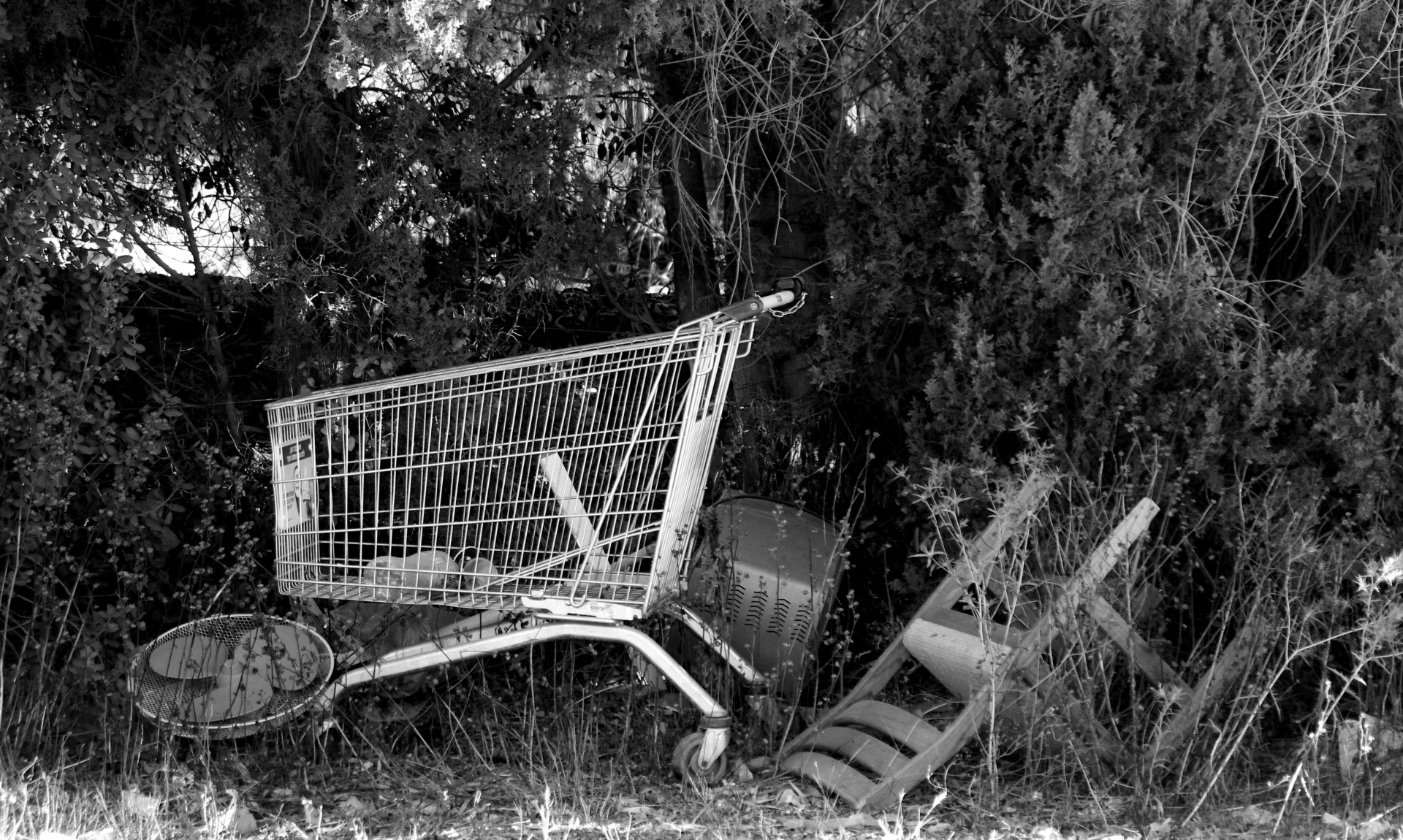 abandoned supermarket trolley free photo