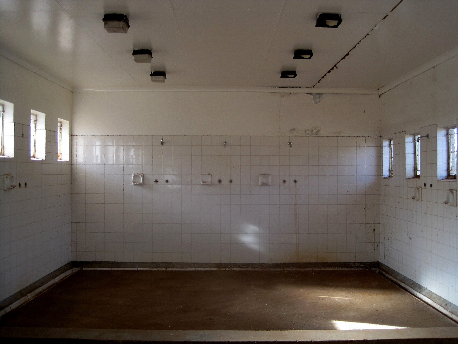 bathroom showers abandoned free photo