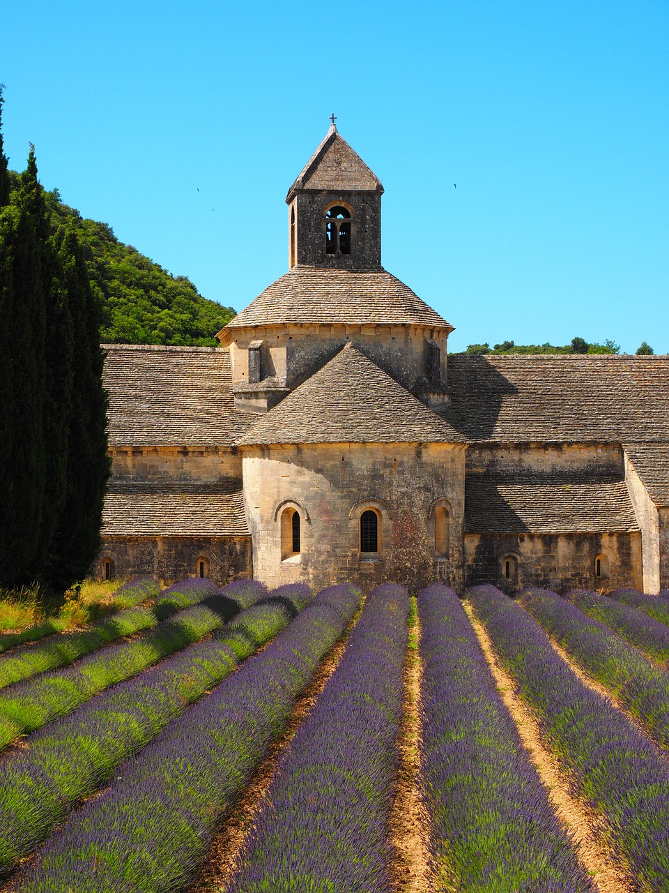 abbaye de sénanque monastery abbey free photo