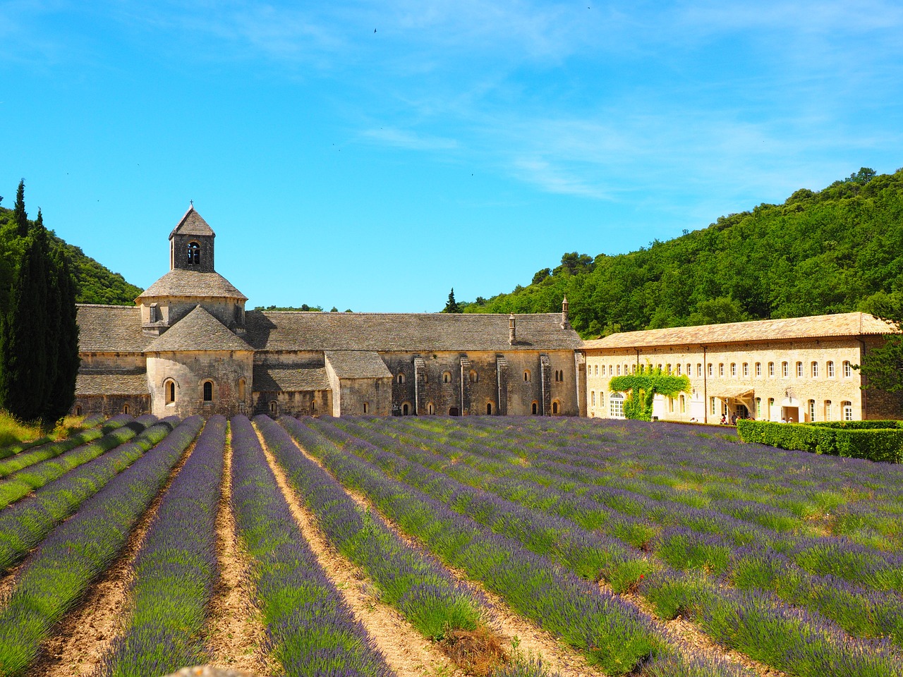 abbaye de sénanque monastery abbey free photo