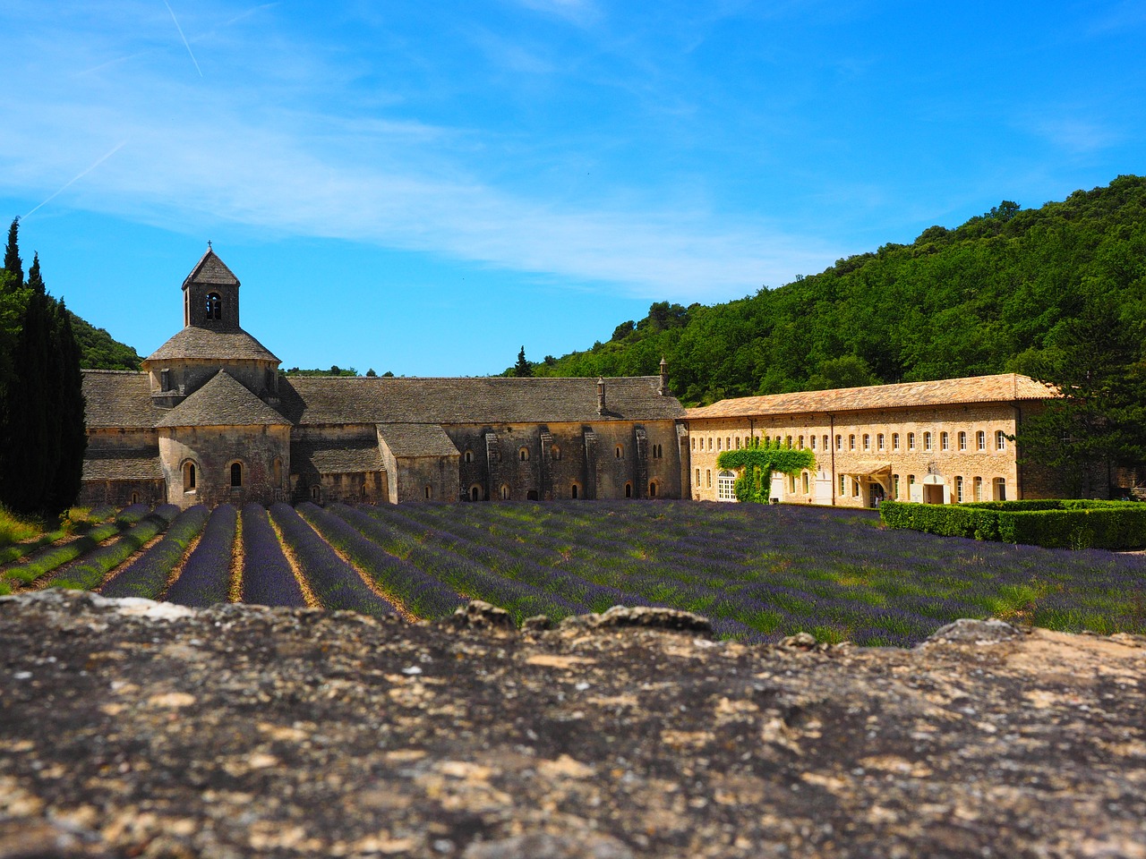 abbaye de sénanque monastery abbey free photo