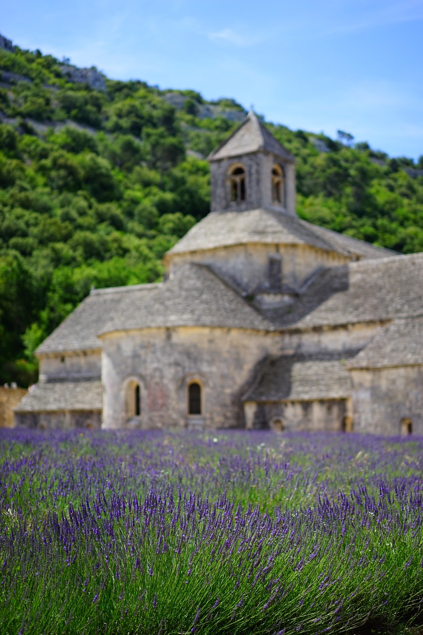 abbaye de sénanque monastery abbey free photo