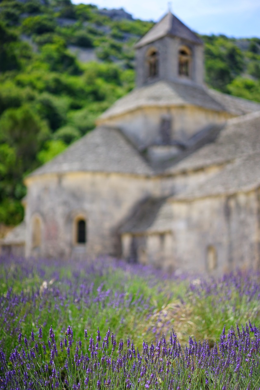 abbaye de sénanque monastery abbey free photo