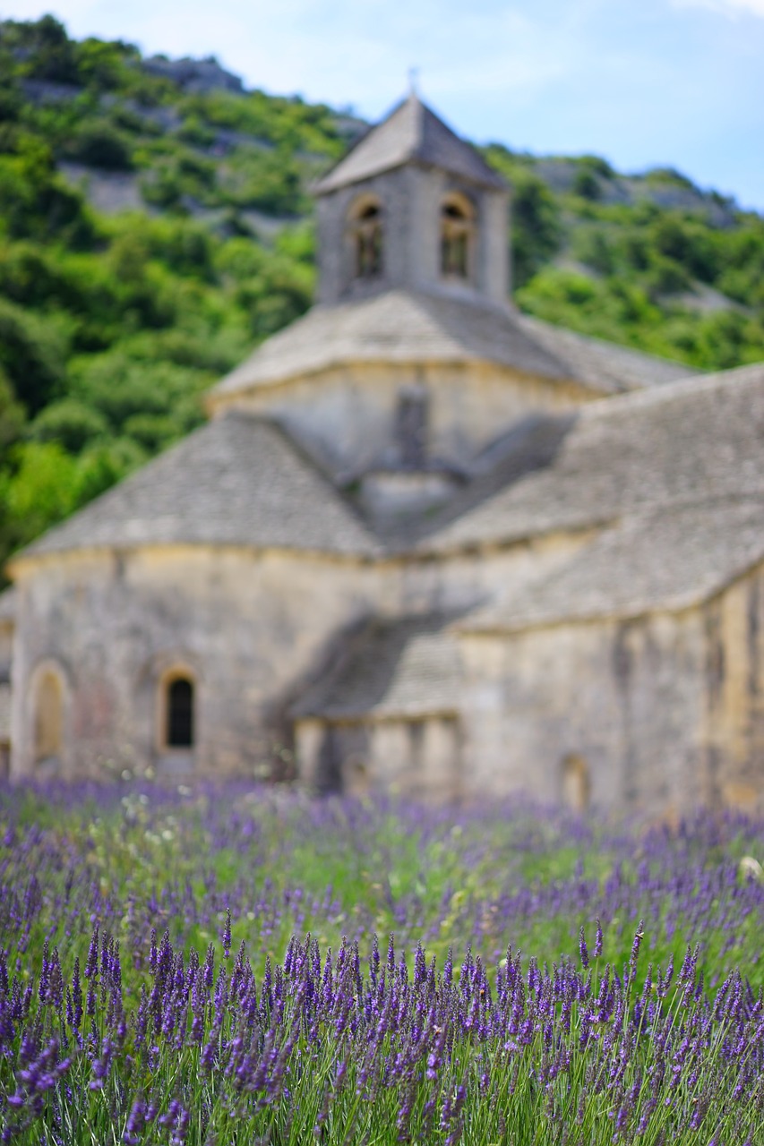 abbaye de sénanque monastery abbey free photo