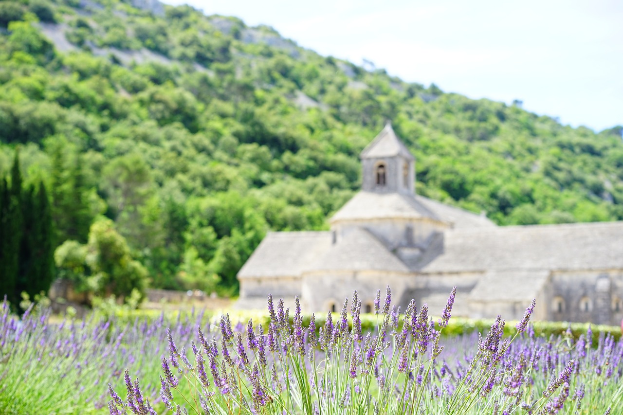 abbaye de sénanque monastery abbey free photo