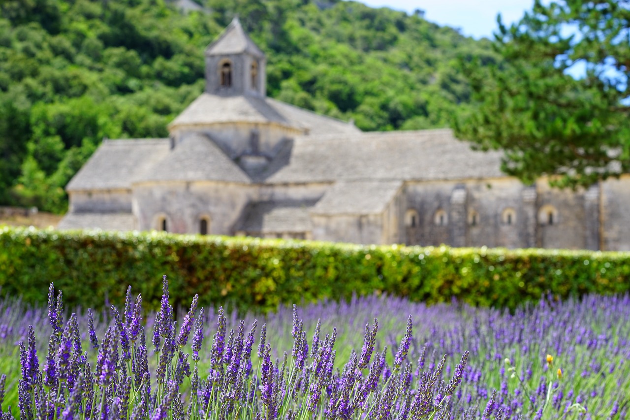 abbaye de sénanque monastery abbey free photo