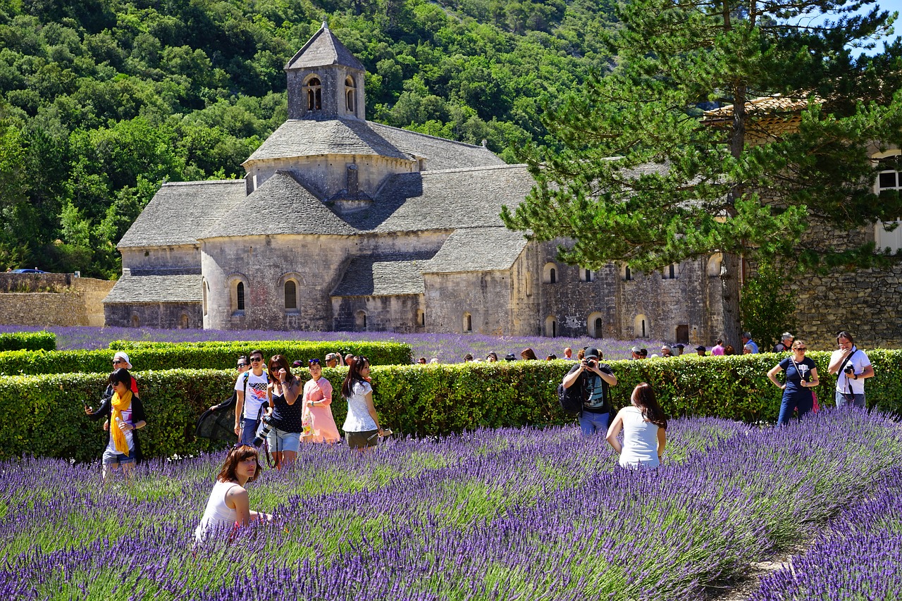 abbaye de sénanque tourism visitors free photo