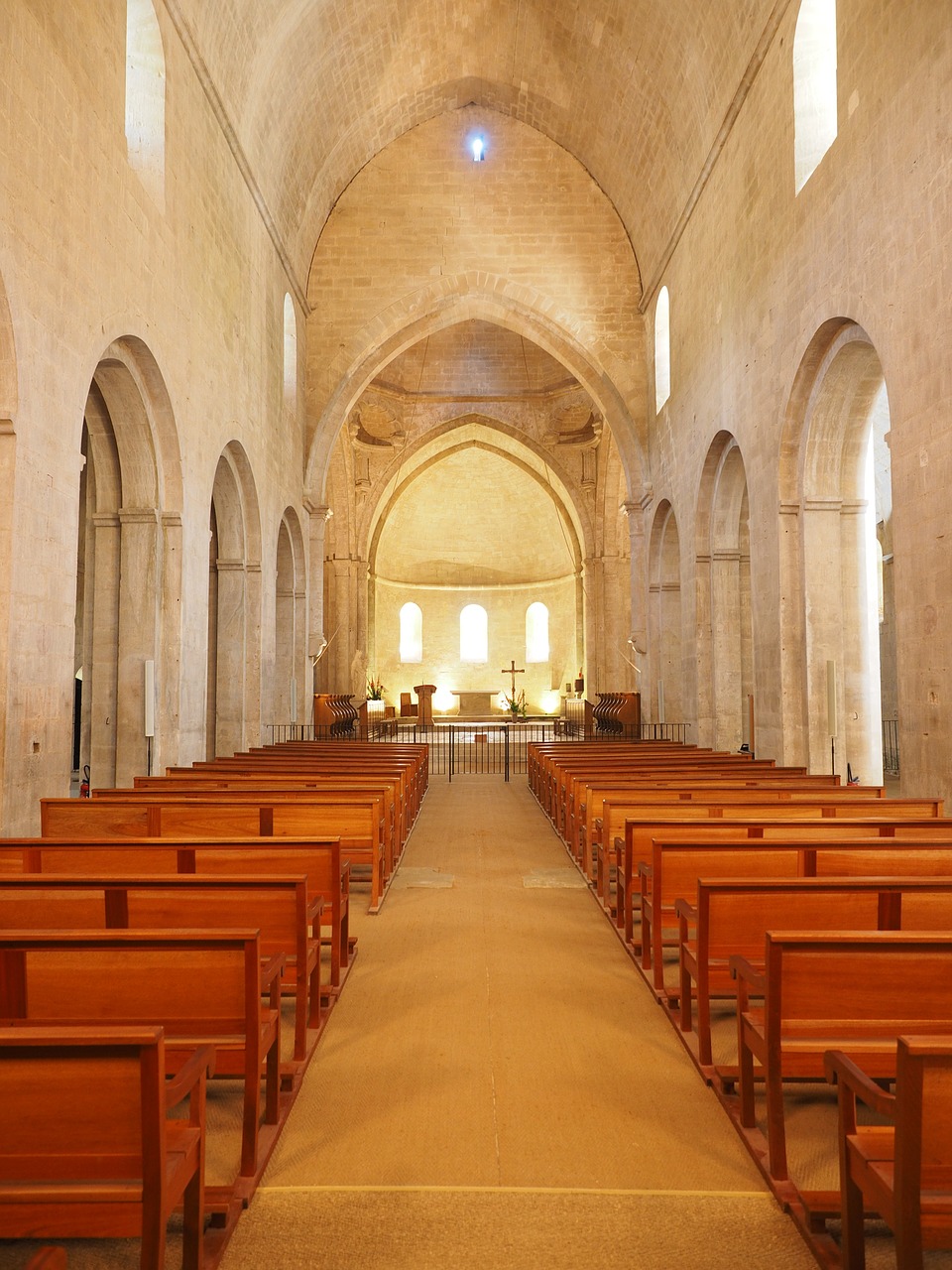 abbey church nave vault free photo