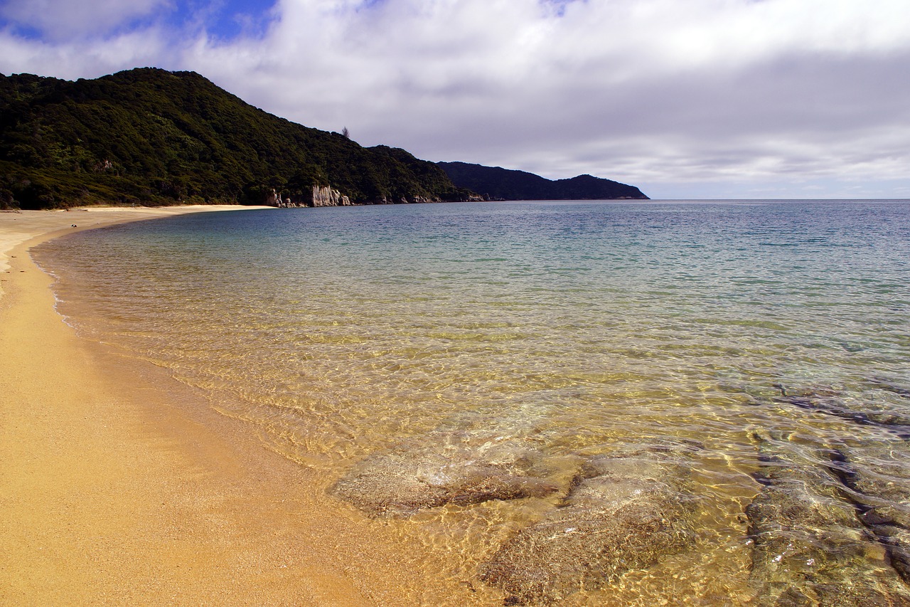 abel tasman  national park  new zealand free photo