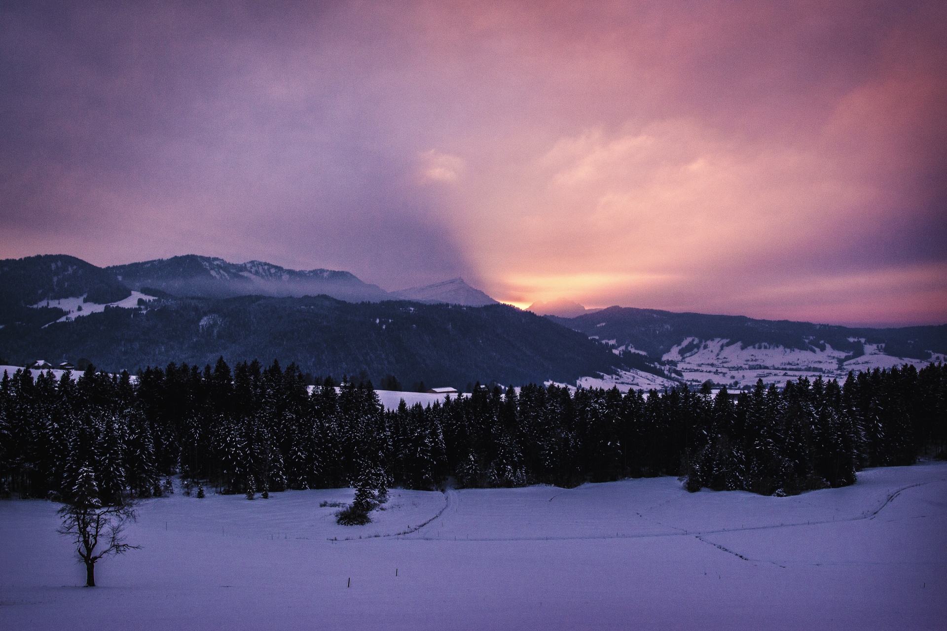 landscape winter sunset free photo
