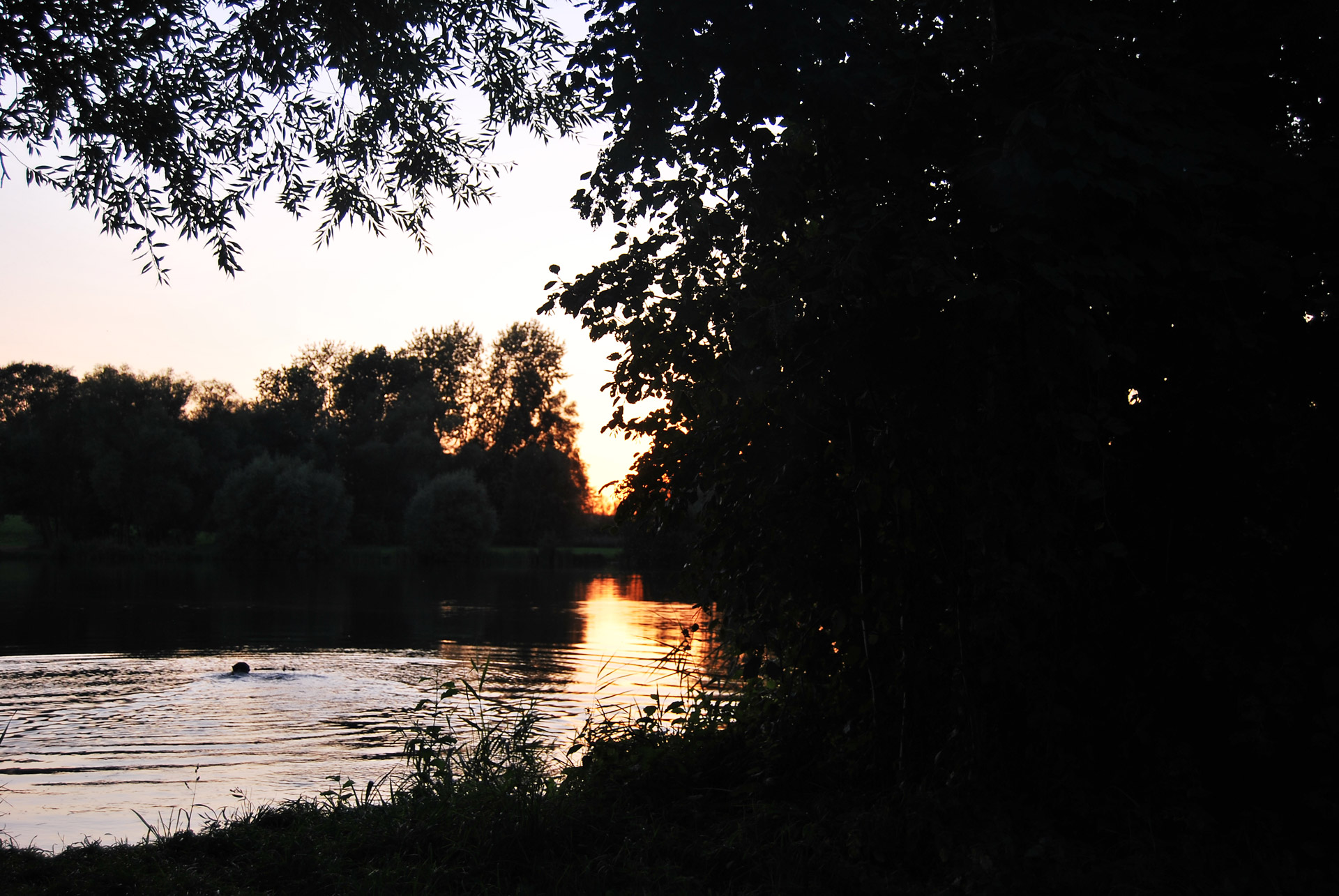 lake sun evening free photo