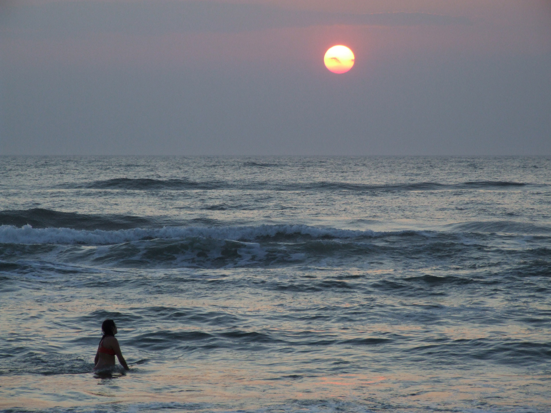 sun sea swim free photo