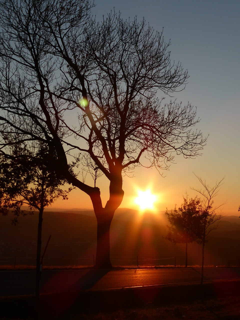 abendstimmung tree sunset free photo