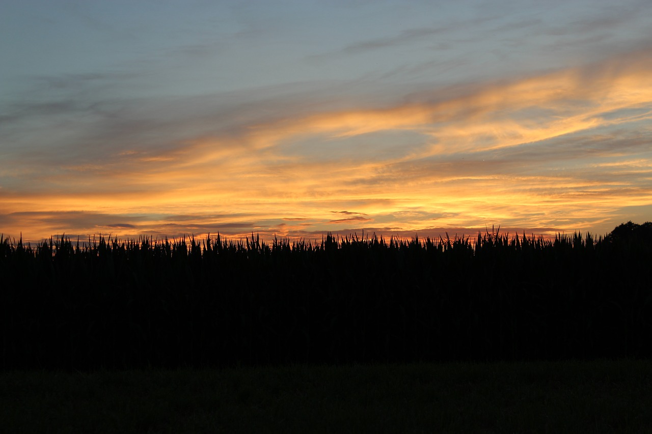 abendstimmung evening sky free photo