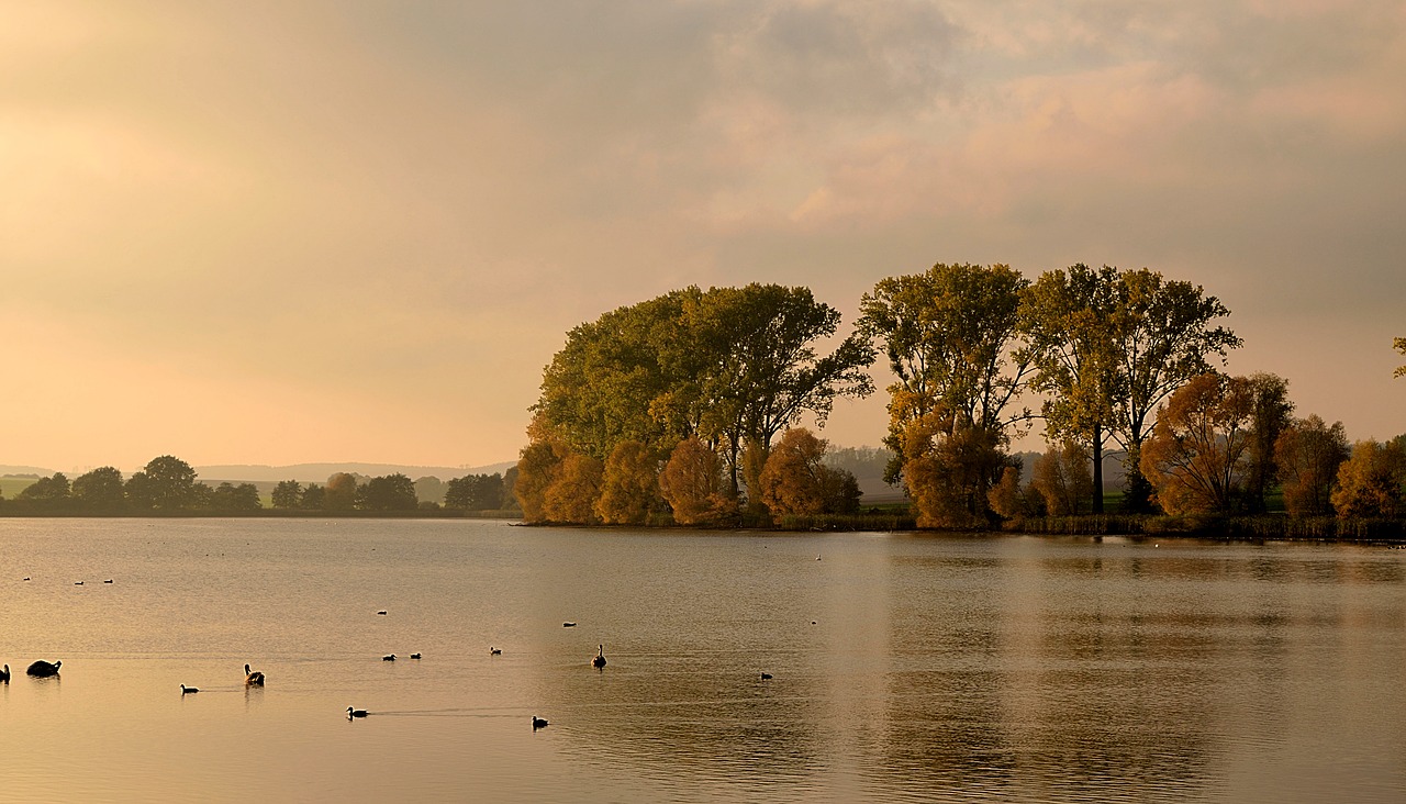 abendstimmung pond autumn free photo