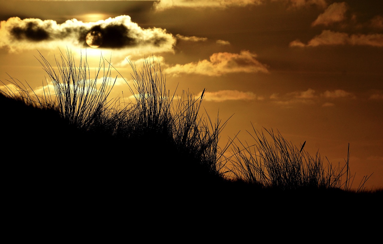 abendstimmung sunset sky free photo