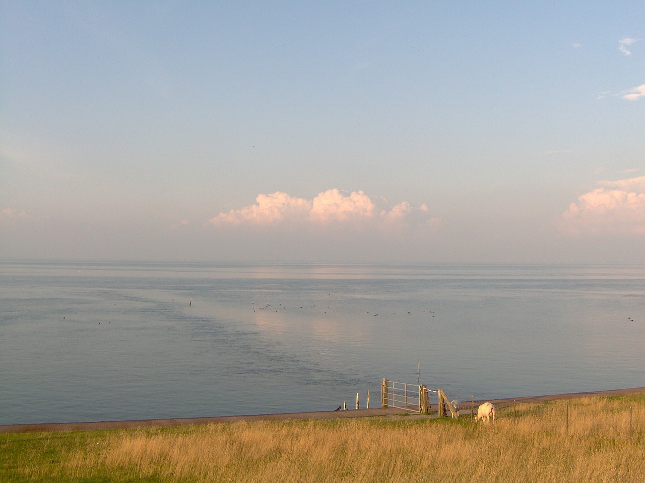 abendstimmung sea rest free photo