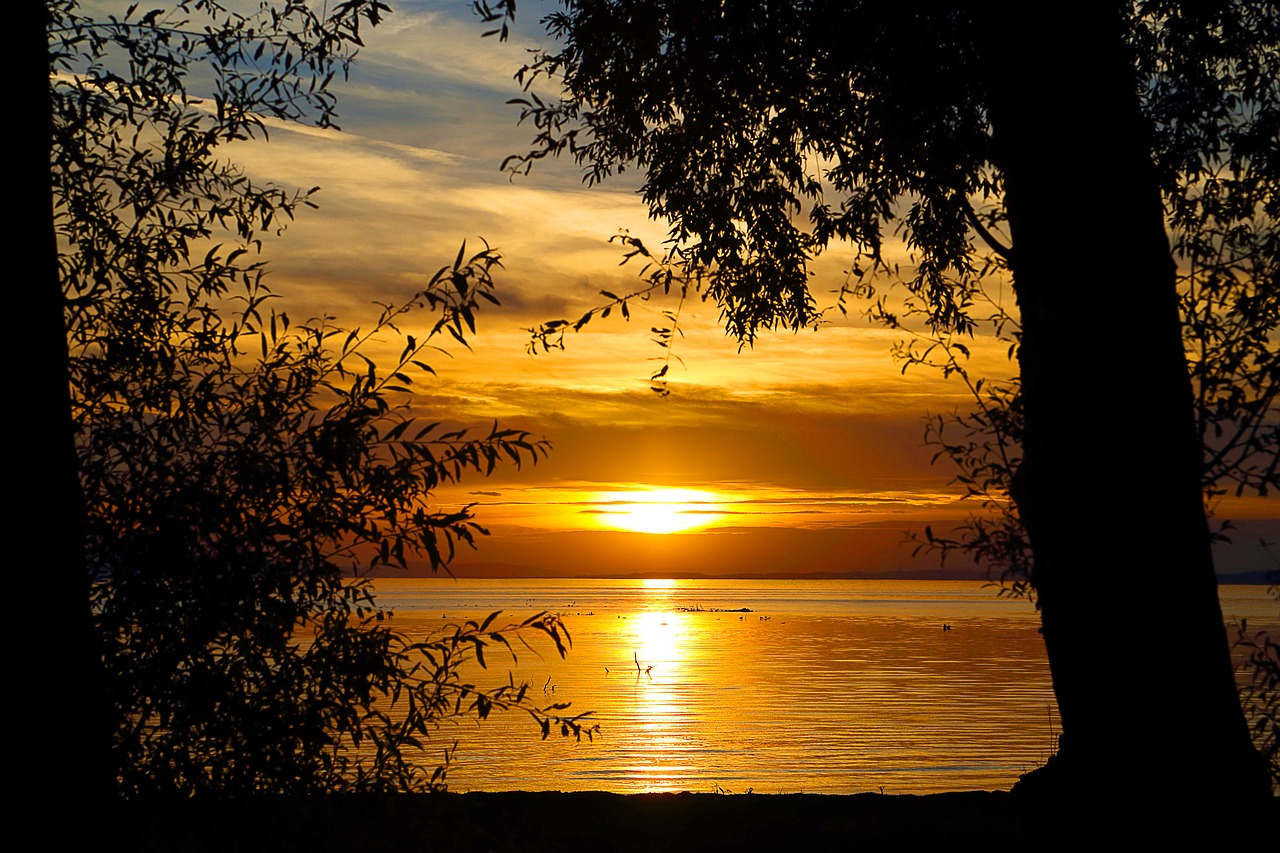 abendstimmung  sunset  lake constance free photo