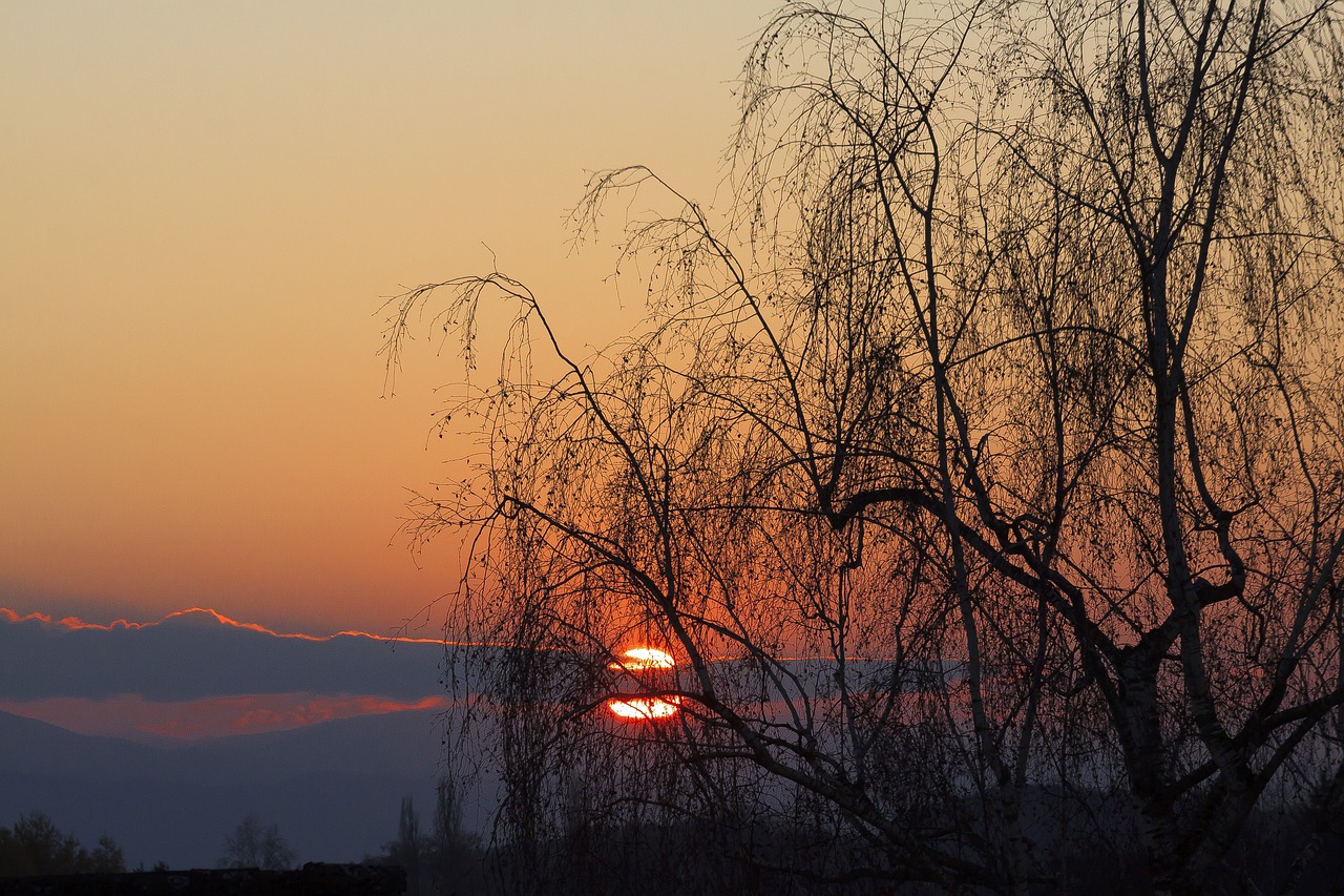 abendstimmung  sunset  sky free photo