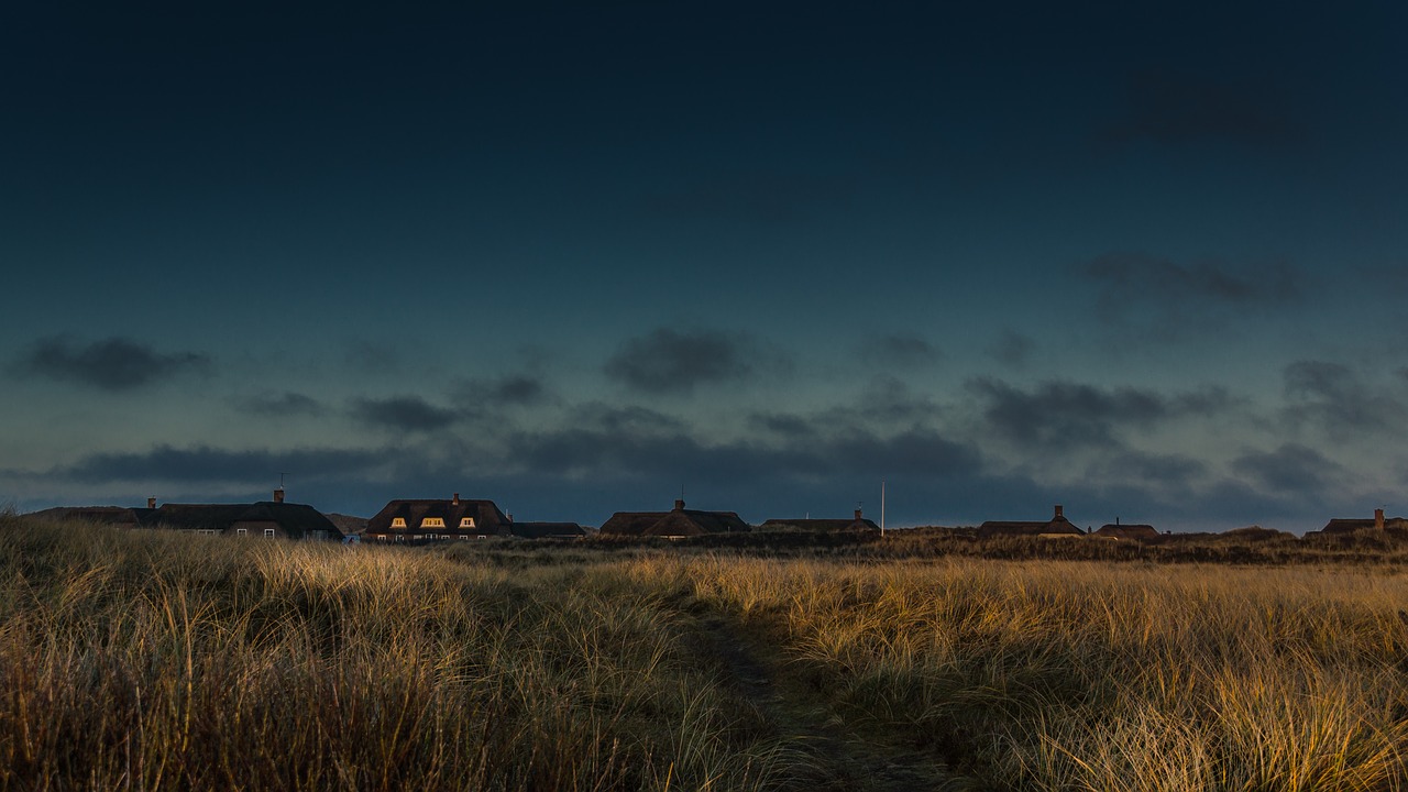 abendstimmung  denmark  dunes free photo